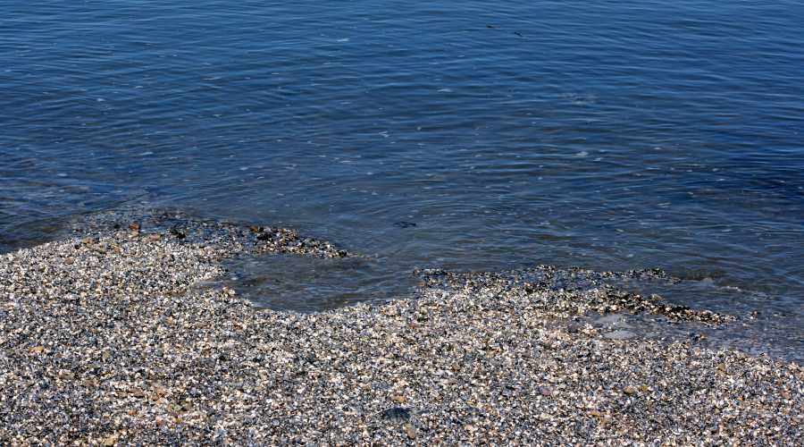Meer