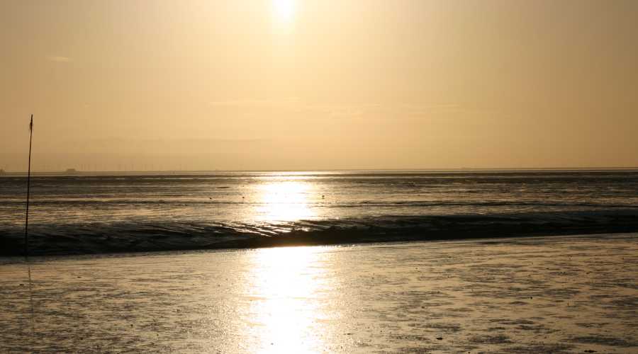 Wattenmeer Abendlicht